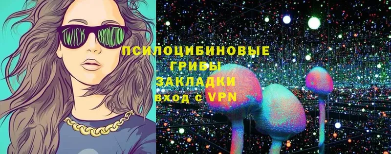 Псилоцибиновые грибы Psilocybe  Семикаракорск 